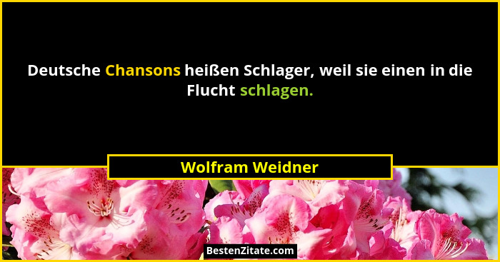 Deutsche Chansons heißen Schlager, weil sie einen in die Flucht schlagen.... - Wolfram Weidner