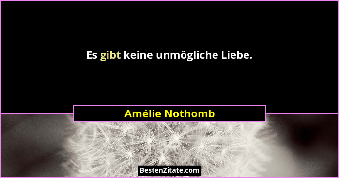 Es gibt keine unmögliche Liebe.... - Amélie Nothomb