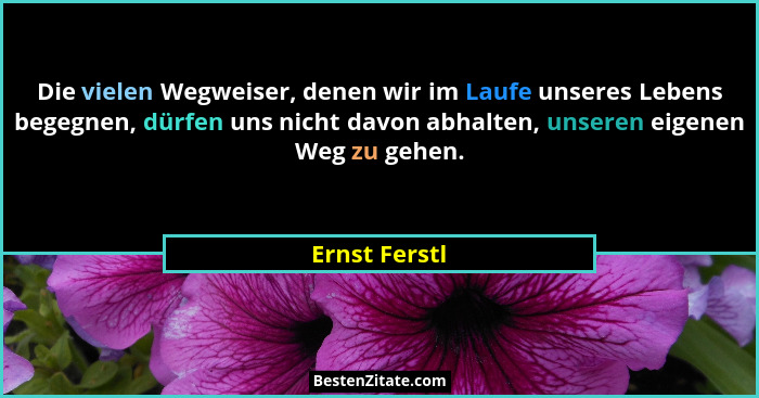 Die vielen Wegweiser, denen wir im Laufe unseres Lebens begegnen, dürfen uns nicht davon abhalten, unseren eigenen Weg zu gehen.... - Ernst Ferstl