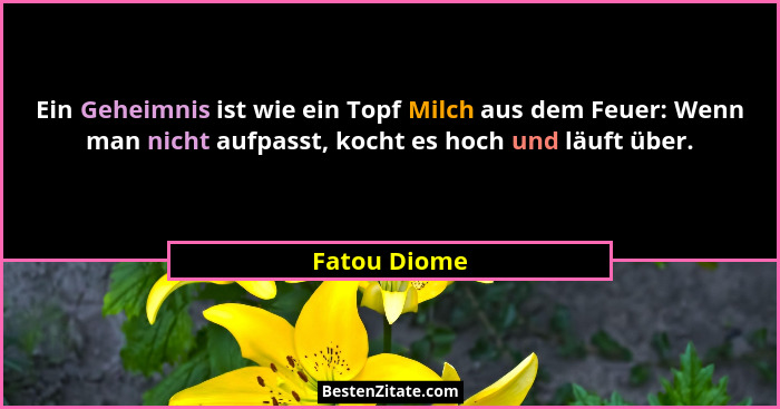 Ein Geheimnis ist wie ein Topf Milch aus dem Feuer: Wenn man nicht aufpasst, kocht es hoch und läuft über.... - Fatou Diome