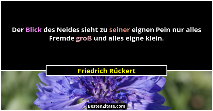 Der Blick des Neides sieht zu seiner eignen Pein nur alles Fremde groß und alles eigne klein.... - Friedrich Rückert