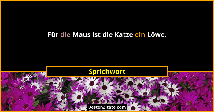 Für die Maus ist die Katze ein Löwe.... - Sprichwort