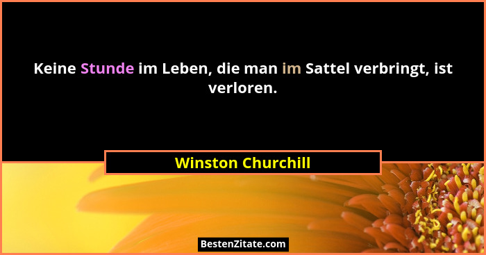 Keine Stunde im Leben, die man im Sattel verbringt, ist verloren.... - Winston Churchill