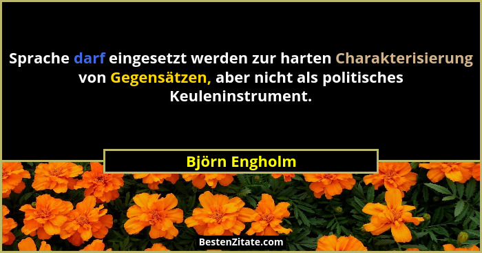 Sprache darf eingesetzt werden zur harten Charakterisierung von Gegensätzen, aber nicht als politisches Keuleninstrument.... - Björn Engholm