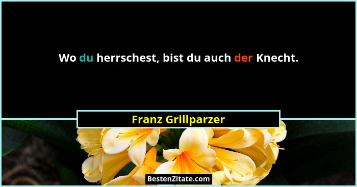 Wo du herrschest, bist du auch der Knecht.... - Franz Grillparzer