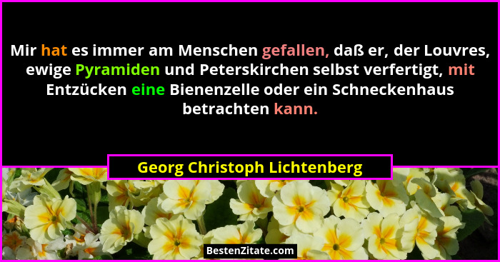 Mir hat es immer am Menschen gefallen, daß er, der Louvres, ewige Pyramiden und Peterskirchen selbst verfertigt, mit Ent... - Georg Christoph Lichtenberg