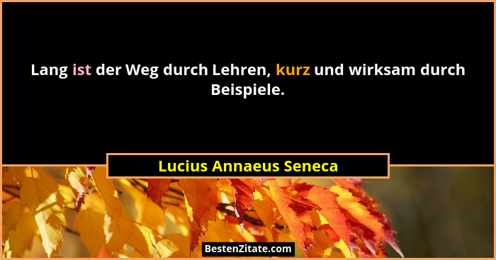 Lang ist der Weg durch Lehren, kurz und wirksam durch Beispiele.... - Lucius Annaeus Seneca