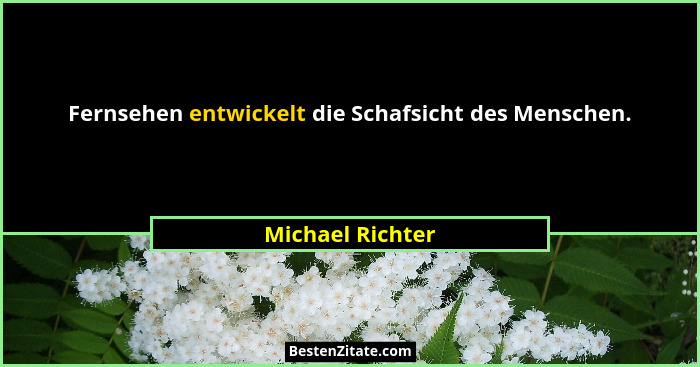 Fernsehen entwickelt die Schafsicht des Menschen.... - Michael Richter