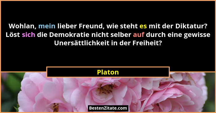 Wohlan, mein lieber Freund, wie steht es mit der Diktatur? Löst sich die Demokratie nicht selber auf durch eine gewisse Unersättlichkeit in d... - Platon