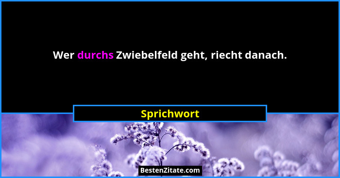 Wer durchs Zwiebelfeld geht, riecht danach.... - Sprichwort