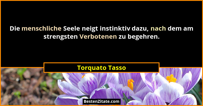 Die menschliche Seele neigt instinktiv dazu, nach dem am strengsten Verbotenen zu begehren.... - Torquato Tasso