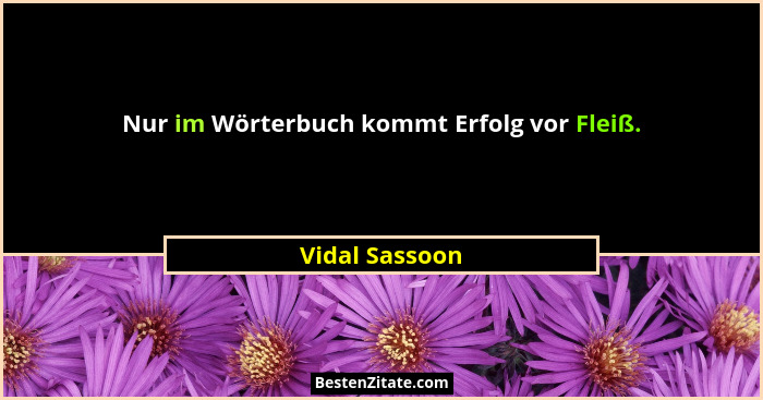 Nur im Wörterbuch kommt Erfolg vor Fleiß.... - Vidal Sassoon