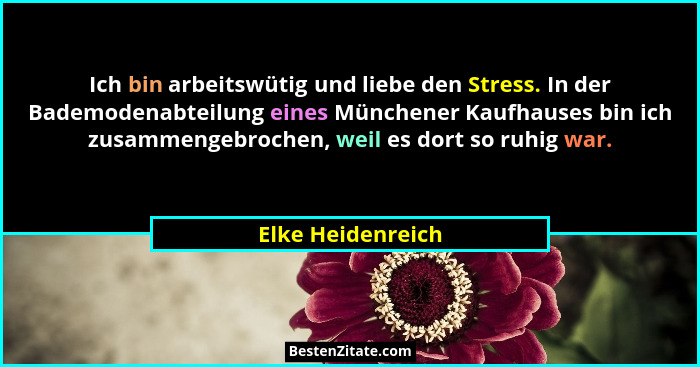 Ich bin arbeitswütig und liebe den Stress. In der Bademodenabteilung eines Münchener Kaufhauses bin ich zusammengebrochen, weil es... - Elke Heidenreich
