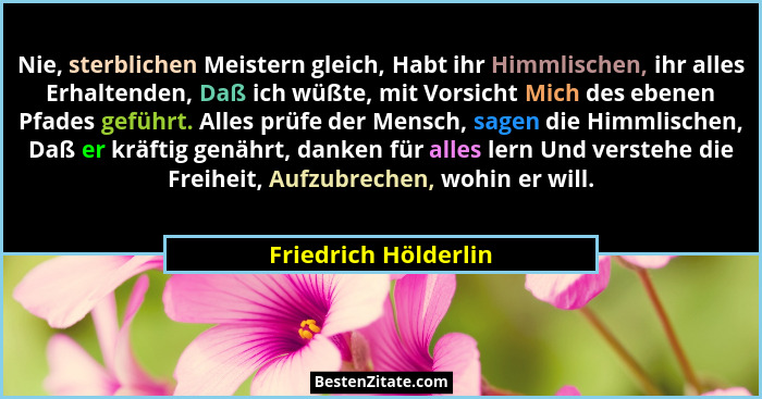 Nie, sterblichen Meistern gleich, Habt ihr Himmlischen, ihr alles Erhaltenden, Daß ich wüßte, mit Vorsicht Mich des ebenen Pfade... - Friedrich Hölderlin