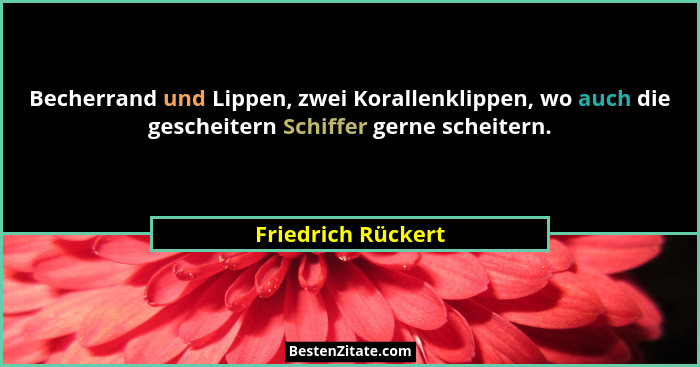 Becherrand und Lippen, zwei Korallenklippen, wo auch die gescheitern Schiffer gerne scheitern.... - Friedrich Rückert