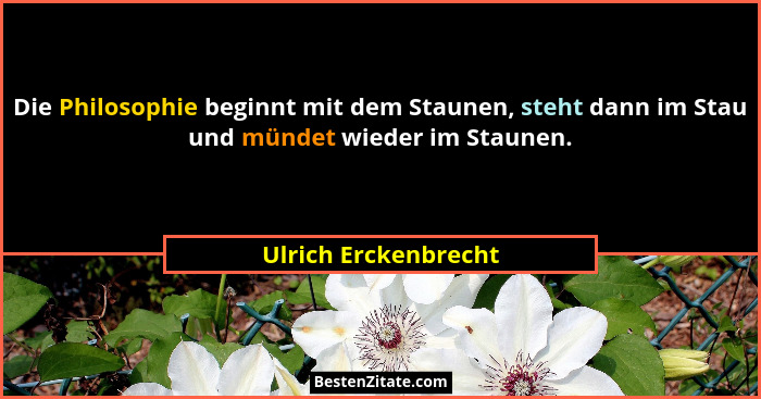 Die Philosophie beginnt mit dem Staunen, steht dann im Stau und mündet wieder im Staunen.... - Ulrich Erckenbrecht