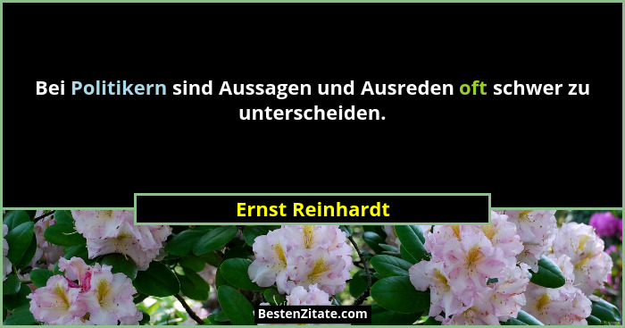 Bei Politikern sind Aussagen und Ausreden oft schwer zu unterscheiden.... - Ernst Reinhardt