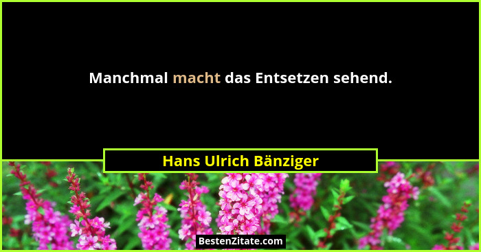 Manchmal macht das Entsetzen sehend.... - Hans Ulrich Bänziger