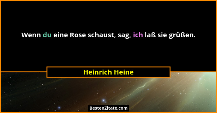 Wenn du eine Rose schaust, sag, ich laß sie grüßen.... - Heinrich Heine