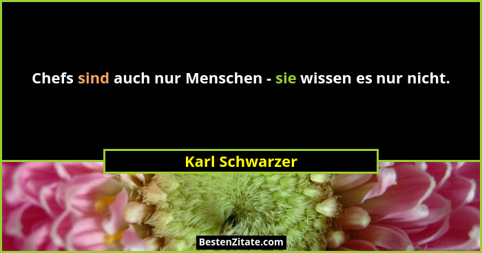 Chefs sind auch nur Menschen - sie wissen es nur nicht.... - Karl Schwarzer