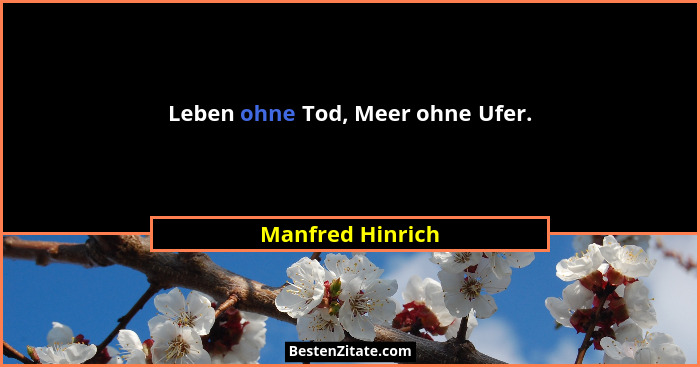 Leben ohne Tod, Meer ohne Ufer.... - Manfred Hinrich