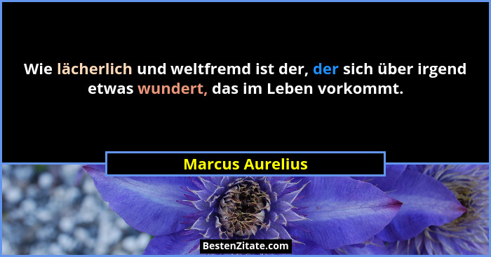 Wie lächerlich und weltfremd ist der, der sich über irgend etwas wundert, das im Leben vorkommt.... - Marcus Aurelius