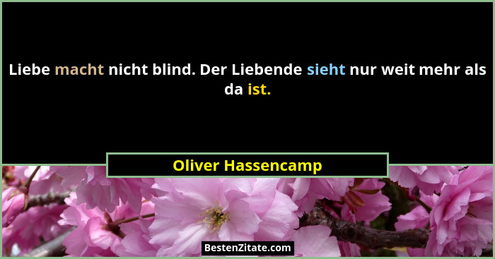 Liebe macht nicht blind. Der Liebende sieht nur weit mehr als da ist.... - Oliver Hassencamp