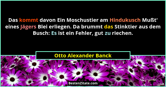 Das kommt davon Ein Moschustier am Hindukusch Mußt' eines Jägers Blei erliegen. Da brummt das Stinktier aus dem Busch: Es i... - Otto Alexander Banck