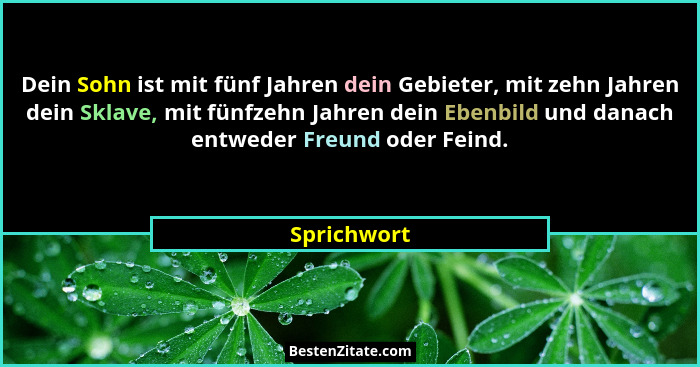Dein Sohn ist mit fünf Jahren dein Gebieter, mit zehn Jahren dein Sklave, mit fünfzehn Jahren dein Ebenbild und danach entweder Freund od... - Sprichwort