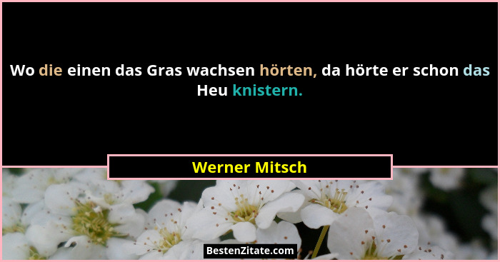 Wo die einen das Gras wachsen hörten, da hörte er schon das Heu knistern.... - Werner Mitsch