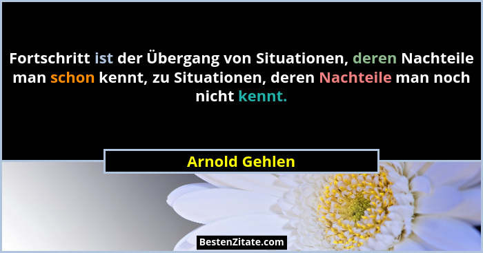 Fortschritt ist der Übergang von Situationen, deren Nachteile man schon kennt, zu Situationen, deren Nachteile man noch nicht kennt.... - Arnold Gehlen