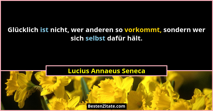Glücklich ist nicht, wer anderen so vorkommt, sondern wer sich selbst dafür hält.... - Lucius Annaeus Seneca
