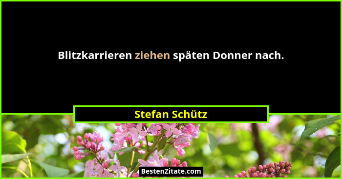 Blitzkarrieren ziehen späten Donner nach.... - Stefan Schütz