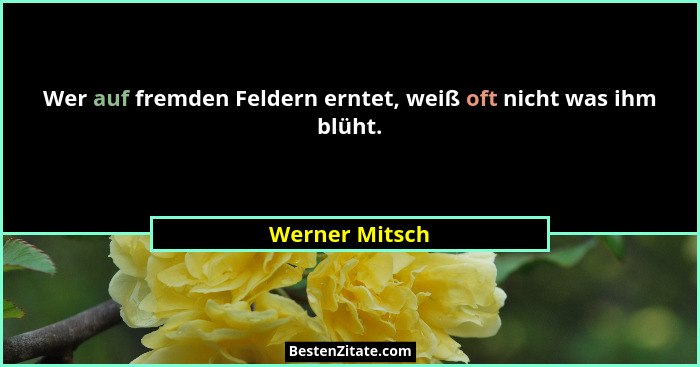 Wer auf fremden Feldern erntet, weiß oft nicht was ihm blüht.... - Werner Mitsch