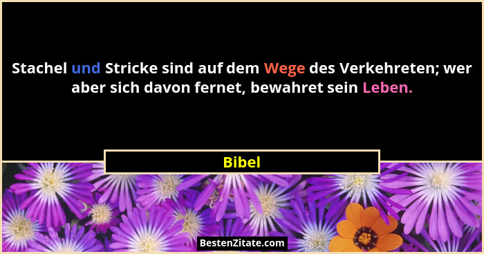 Stachel und Stricke sind auf dem Wege des Verkehreten; wer aber sich davon fernet, bewahret sein Leben.... - Bibel