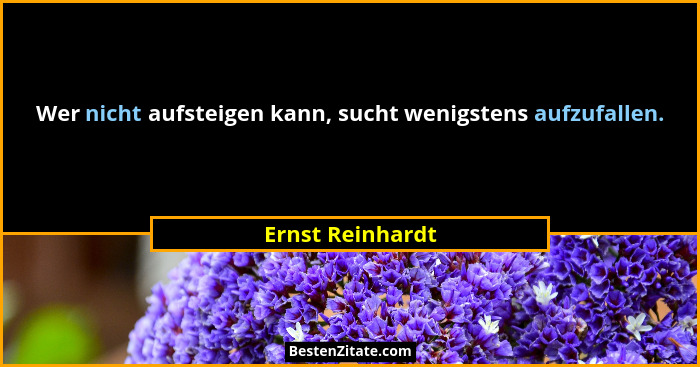 Wer nicht aufsteigen kann, sucht wenigstens aufzufallen.... - Ernst Reinhardt