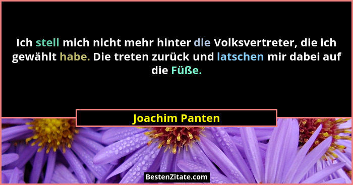 Ich stell mich nicht mehr hinter die Volksvertreter, die ich gewählt habe. Die treten zurück und latschen mir dabei auf die Füße.... - Joachim Panten