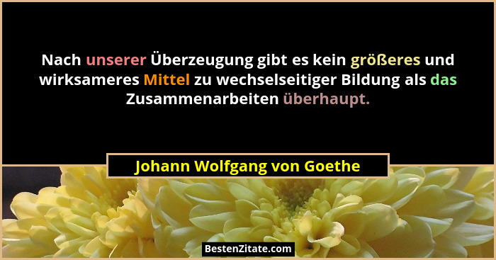 Nach unserer Überzeugung gibt es kein größeres und wirksameres Mittel zu wechselseitiger Bildung als das Zusammenarbeiten... - Johann Wolfgang von Goethe