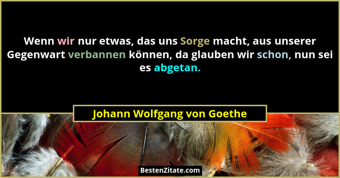 Wenn wir nur etwas, das uns Sorge macht, aus unserer Gegenwart verbannen können, da glauben wir schon, nun sei es abgetan... - Johann Wolfgang von Goethe
