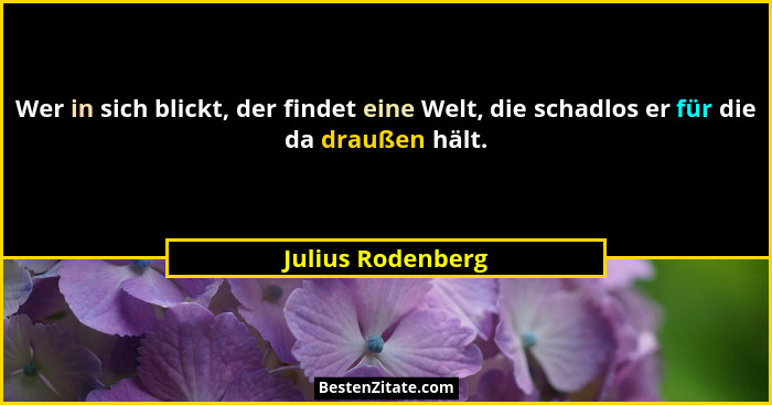 Wer in sich blickt, der findet eine Welt, die schadlos er für die da draußen hält.... - Julius Rodenberg