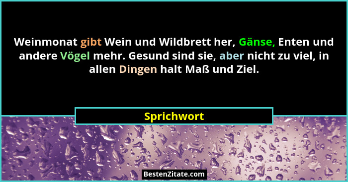 Weinmonat gibt Wein und Wildbrett her, Gänse, Enten und andere Vögel mehr. Gesund sind sie, aber nicht zu viel, in allen Dingen halt Maß... - Sprichwort
