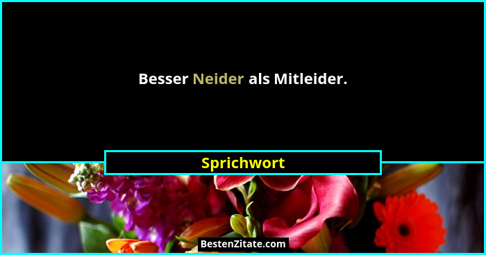 Besser Neider als Mitleider.... - Sprichwort