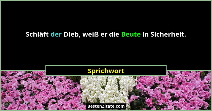 Schläft der Dieb, weiß er die Beute in Sicherheit.... - Sprichwort