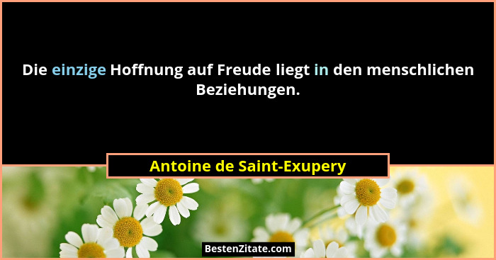 Die einzige Hoffnung auf Freude liegt in den menschlichen Beziehungen.... - Antoine de Saint-Exupery
