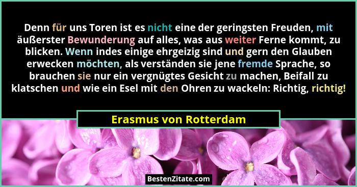 Denn für uns Toren ist es nicht eine der geringsten Freuden, mit äußerster Bewunderung auf alles, was aus weiter Ferne kommt,... - Erasmus von Rotterdam