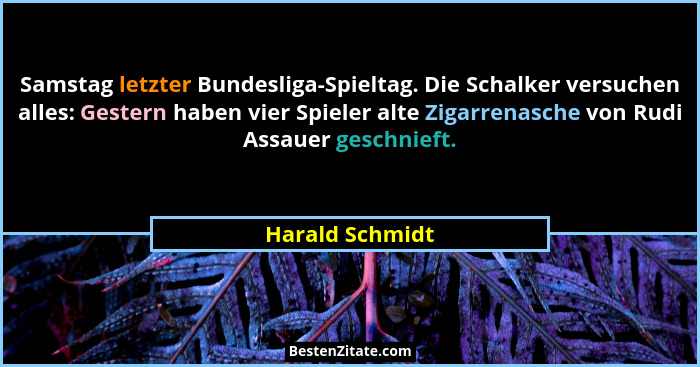 Samstag letzter Bundesliga-Spieltag. Die Schalker versuchen alles: Gestern haben vier Spieler alte Zigarrenasche von Rudi Assauer ges... - Harald Schmidt