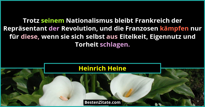 Trotz seinem Nationalismus bleibt Frankreich der Repräsentant der Revolution, und die Franzosen kämpfen nur für diese, wenn sie sich... - Heinrich Heine