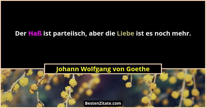Der Haß ist parteiisch, aber die Liebe ist es noch mehr.... - Johann Wolfgang von Goethe
