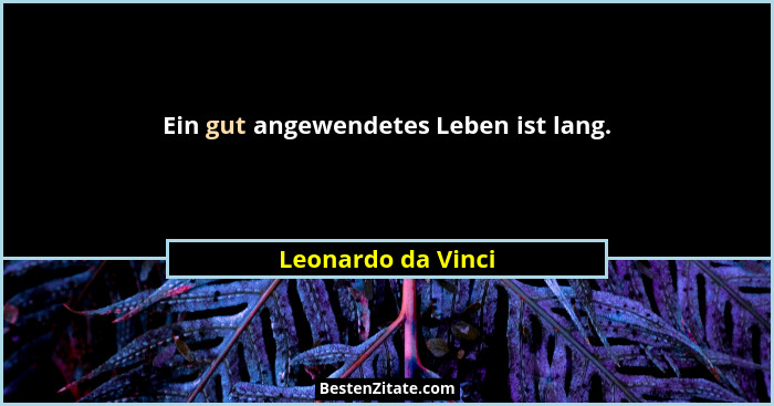 Ein gut angewendetes Leben ist lang.... - Leonardo da Vinci