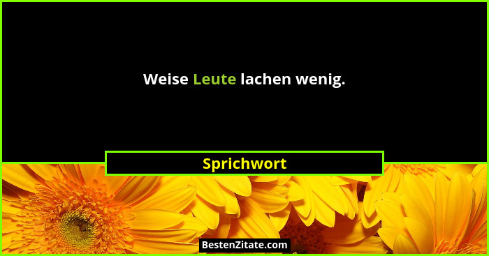 Weise Leute lachen wenig.... - Sprichwort